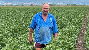 Upper Namoi Cotton Growers Association president Peter Lennox believes low Keepit Dam storage levels could impact summer cropping programs if there they don't improve over winter. File photo