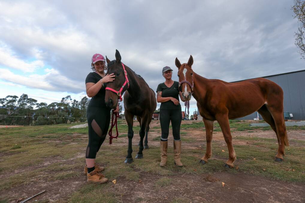 HOME: Janine Todd (right) and her daughter Jenna with Bill (left) and Chilli. Picture: TARA TREWHELLA