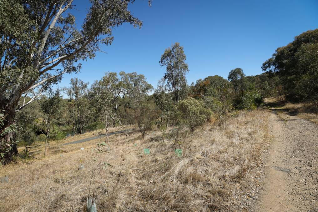 The police hut site, near a path behind Albury Swim Centre, "is a public memory place, a place that matters, especially in 2024. Yet the site and the stories behind it have been neglected". Picture by James Wiltshire