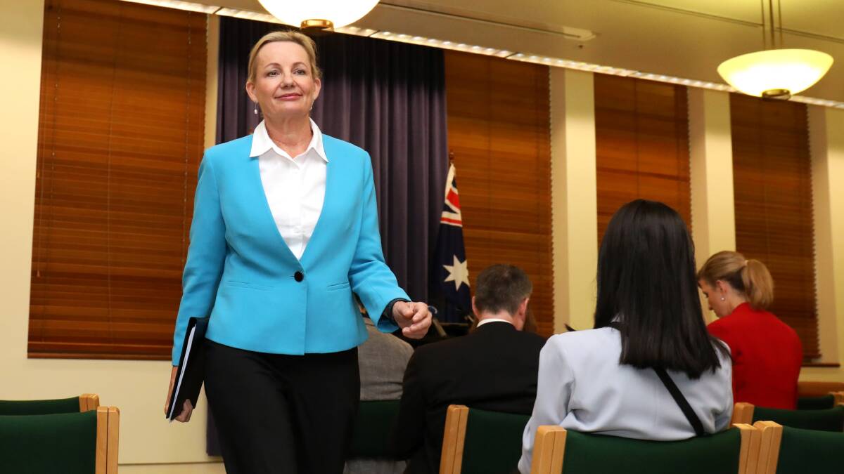 Deputy Leader of the Opposition Sussan Ley. Picture by James Croucher