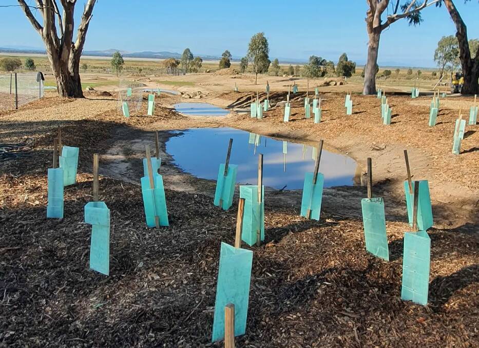 The site of a planting spree at Winton Wetlands earlier this year. More trees and shrubs will be planted this Spring as part of the restoration project. Picture supplied by Winton Wetlands.