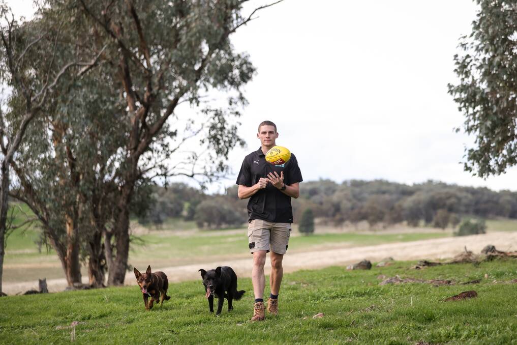 Lavington's Nick Newton takes a walk on the family farm near Henty with dogs Oz and Jet. The 19-year-old plays the first of two Young Guns matches against Vic Metro at Sandringham this weekend. Picture by James Wiltshire