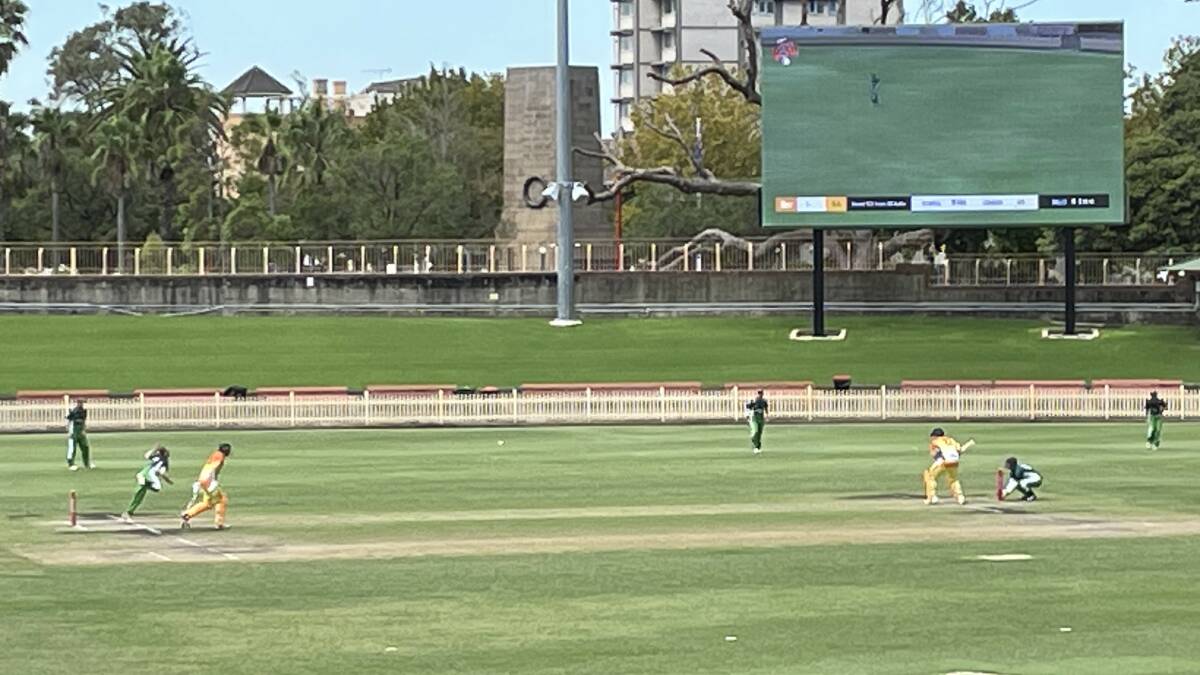 Border Bullets batting at North Sydney Oval.