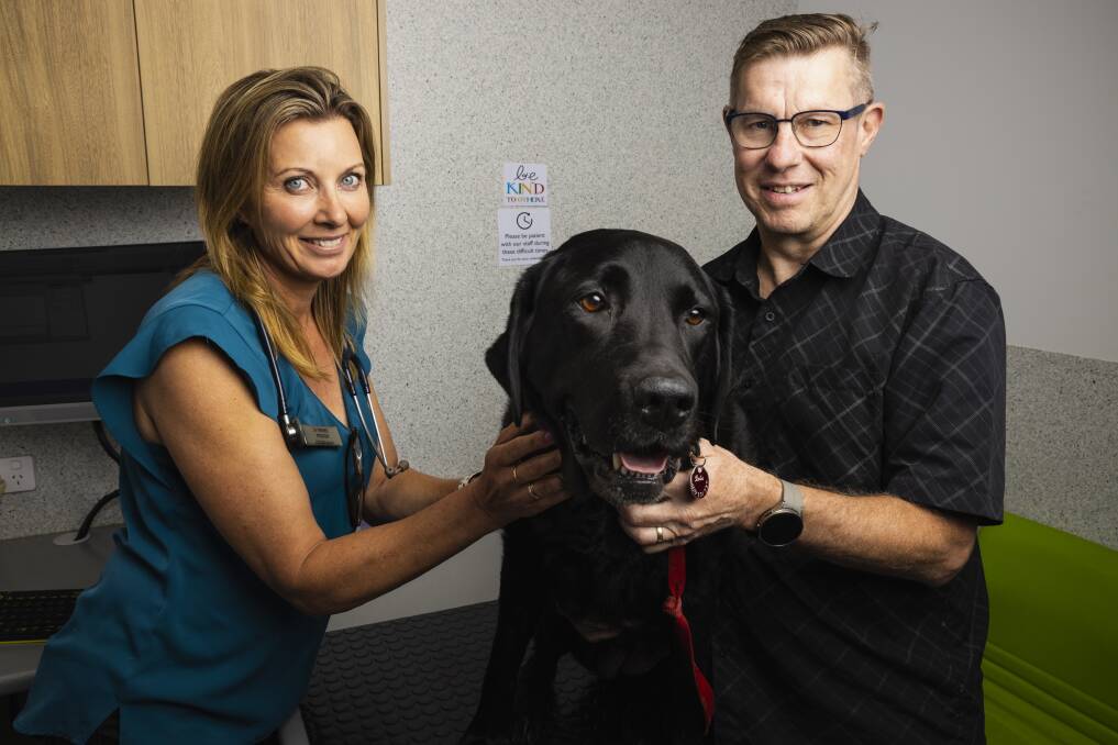  Dr Renee Pigdon, with Bella and her owner Michael Ferdinand, Dr Pigdon says Bella is doing very well on the treatment so far and hopes to get more dogs on the medication. Picture by Ash Smith