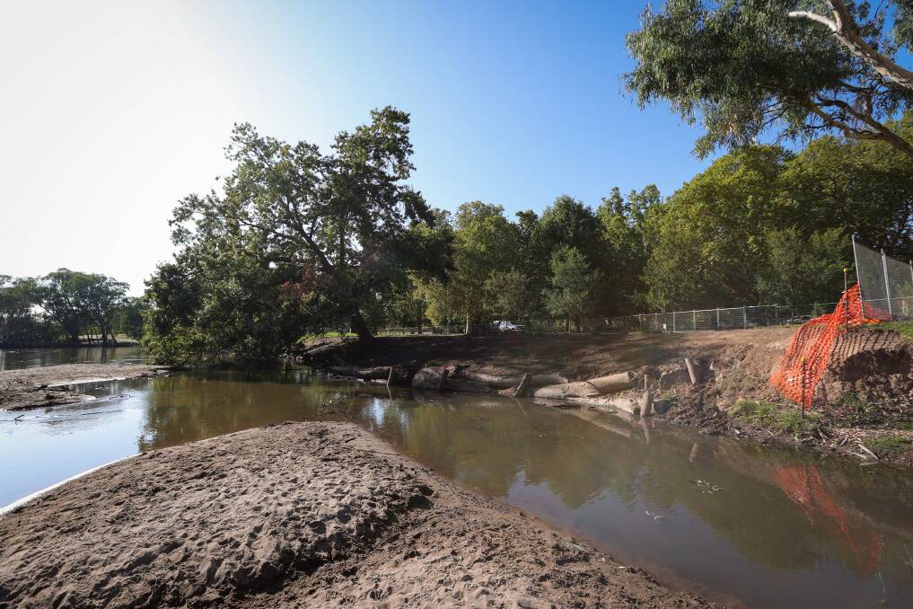 The large gum tree that had fallen into the Murray River at Noreuil Park Foreshore will be removed this week to improve "safety, appearance and protection". Picture by James Wiltshire