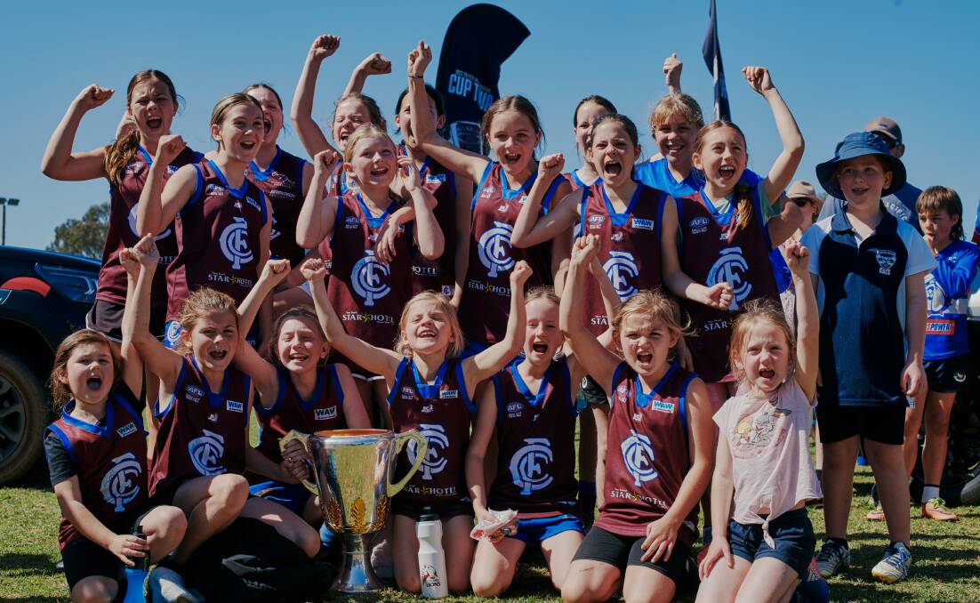 Culcairn players enjoy the sunshine, team spirit and fun of the day. Picture by Chris Gurney