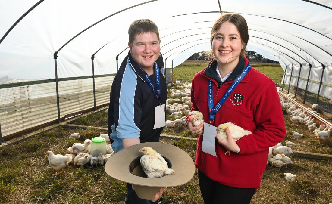 Murray High's Brian Warhurst and Albury High's Emily Shipard, both keen to enter into a career in agriculture, visit Wolki Farm at Thurgoona to get some hands-on experience at a working farm. Picture by Mark Jesser