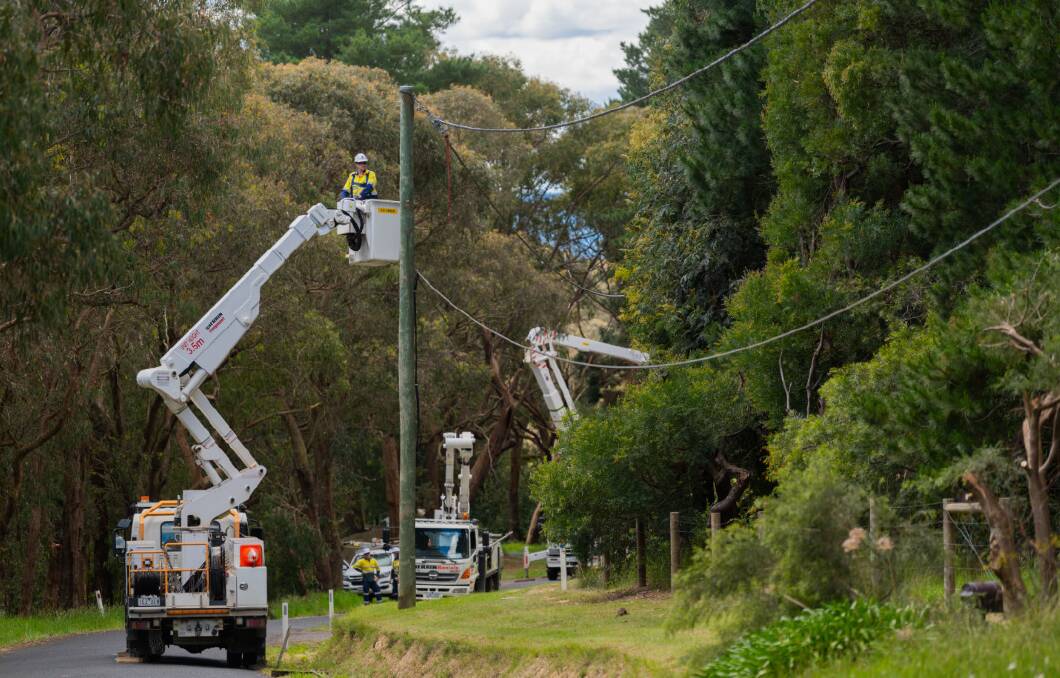 Ground crews are examining power poles from Rutherglen to Towong and clearing vegetation around the poles. Picture supplied