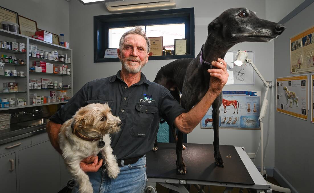 Vet David Hall at his Walwa clinic says he will tend to any animal in need of medical assistance including his dogs Steffie and Happy. Picture by Mark Jesser