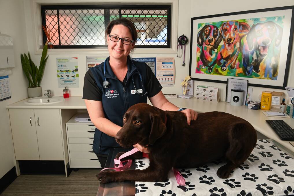 Vet Dr Sally Henry and Coco the labrador. Picture by Mark Jesser