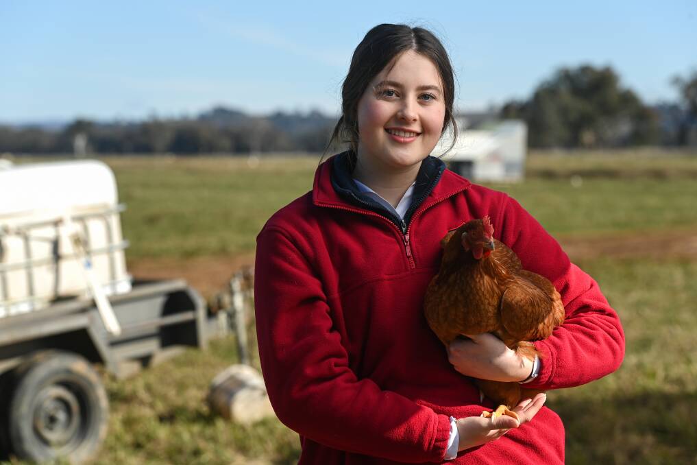 Emily Shipard, 15, says Albury High School has already provided her with experience working with animals but was keen to learn more at Wolki Farm as part of the Ag Industry Days workshops. Picture by Mark Jesser