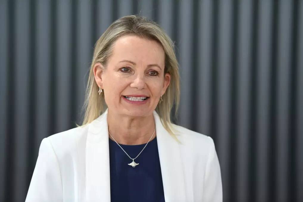 Farrer MP Sussan Ley says she was disappointed over the lack of details released surrounding the hospital redevelopment project. Picture by Mark Jesser
