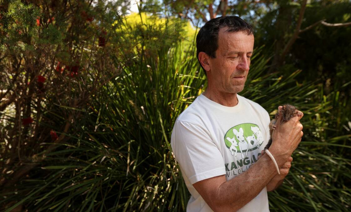 Kangaloona Wildlife Shelter rescuer Chris Lehman. Picture by James Wiltshire