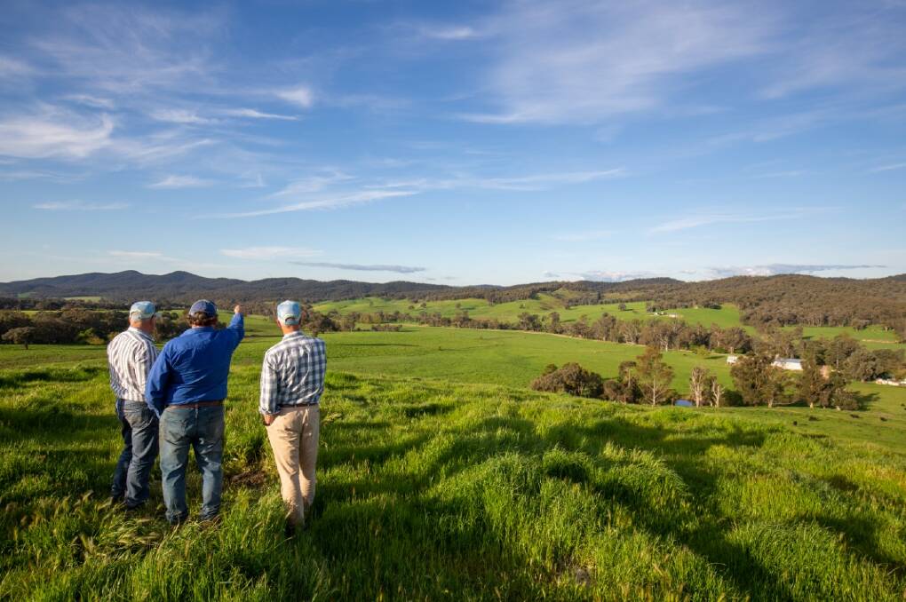 Agents from Ray White Rural Albury and a representative from Stone Axe Pastoral Company overlooking the lush pastures of rye grass, phalaris and clover on Moyhu, south of Wangaratta. Picture supplied by Ray White Rural Albury