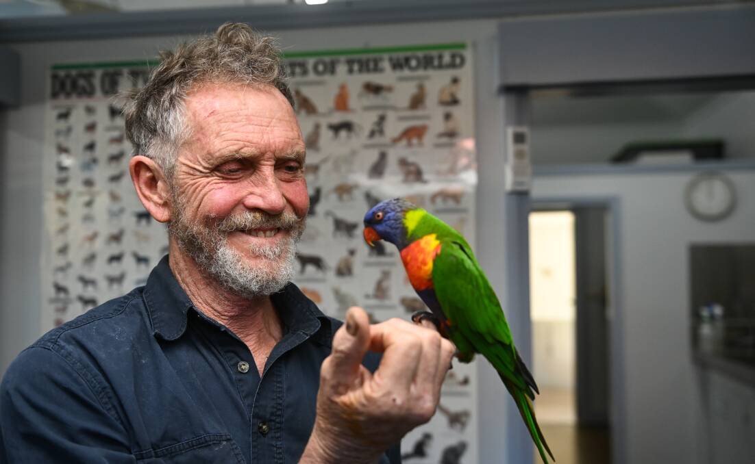 Walwa veterinarian David Hall, whose business in Tennant Creek has won recognition at the NT Business Awards, with Pete the rainbow lorikeet. Picture by Mark Jesser