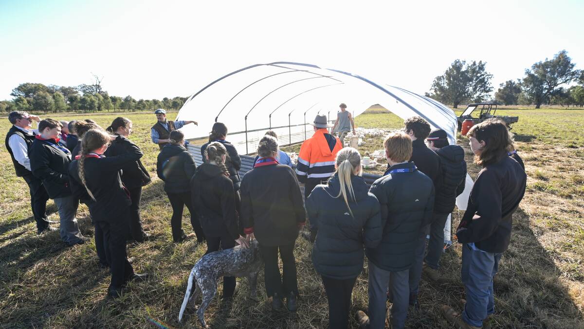 AgriFutures Australia and Training Services NSW host a group of high school students for some hands-on experience at Wolki Farm, Thurgoona. Picture by Mark Jesser