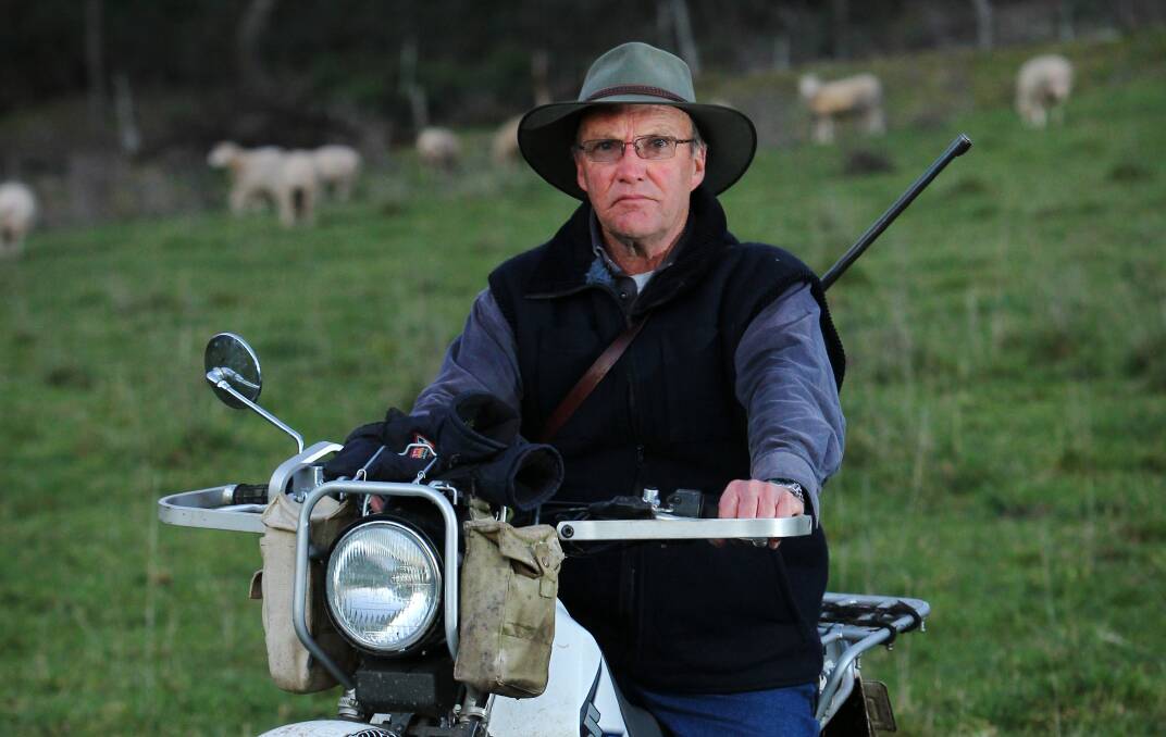 Tallangatta Valley farmer Stuart Morant says he sometimes "doesn't want to get out of bed" because of the dread of what he might see in his sheep paddocks.