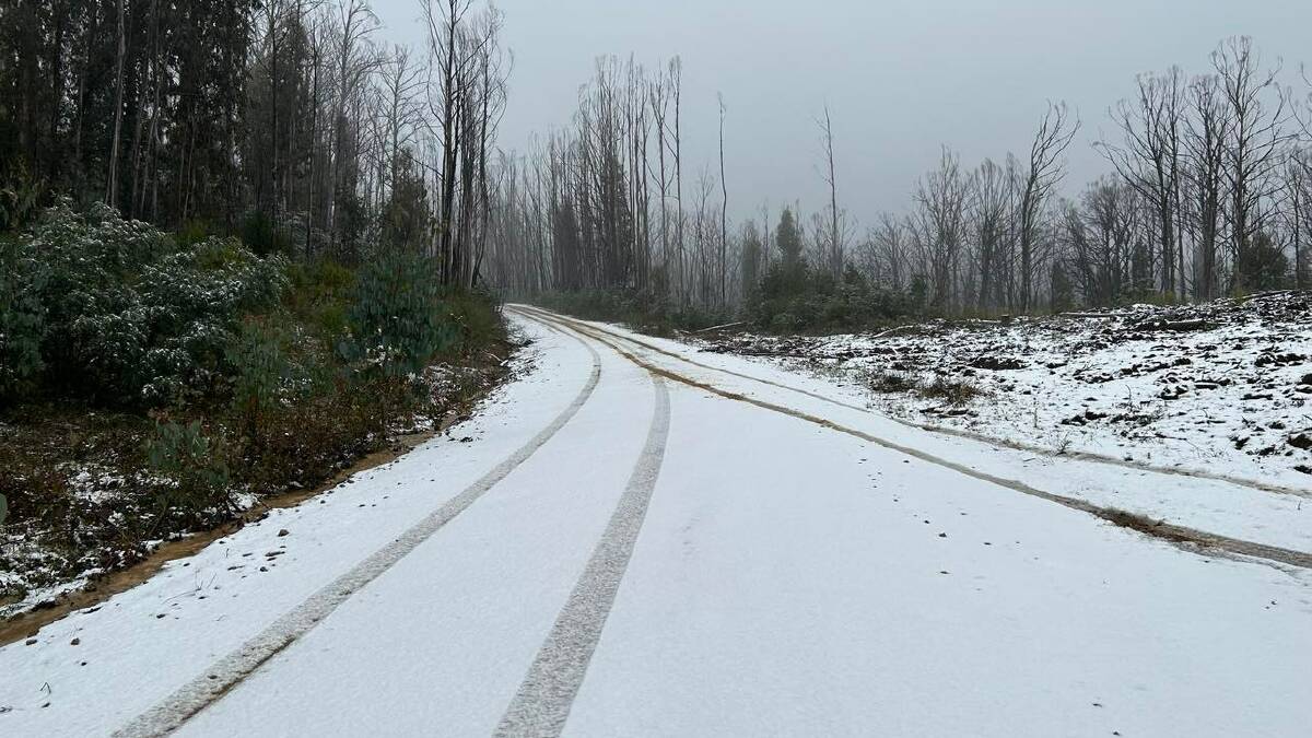 Snow blankets Back Creek Road near Laurel Hill on Sunday. Pictures contributed
