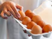 Coles has introduced a limit of two cartons of eggs per customer. Picture by Shutterstock