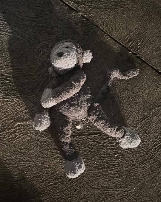 The photo Sandra Alesiani captured when she found Monkey at the Glenrowan rest stop. Picture supplied