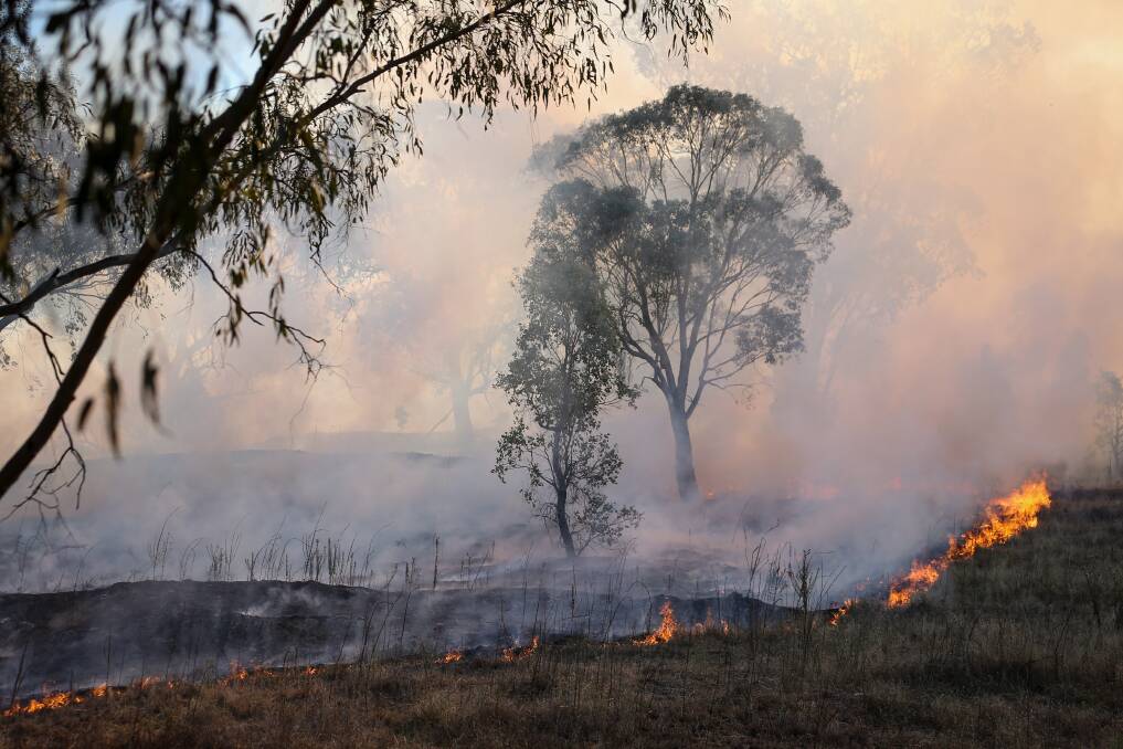 The bushfire at East Albury on Saturday, February 24. Picture by James Wiltshire