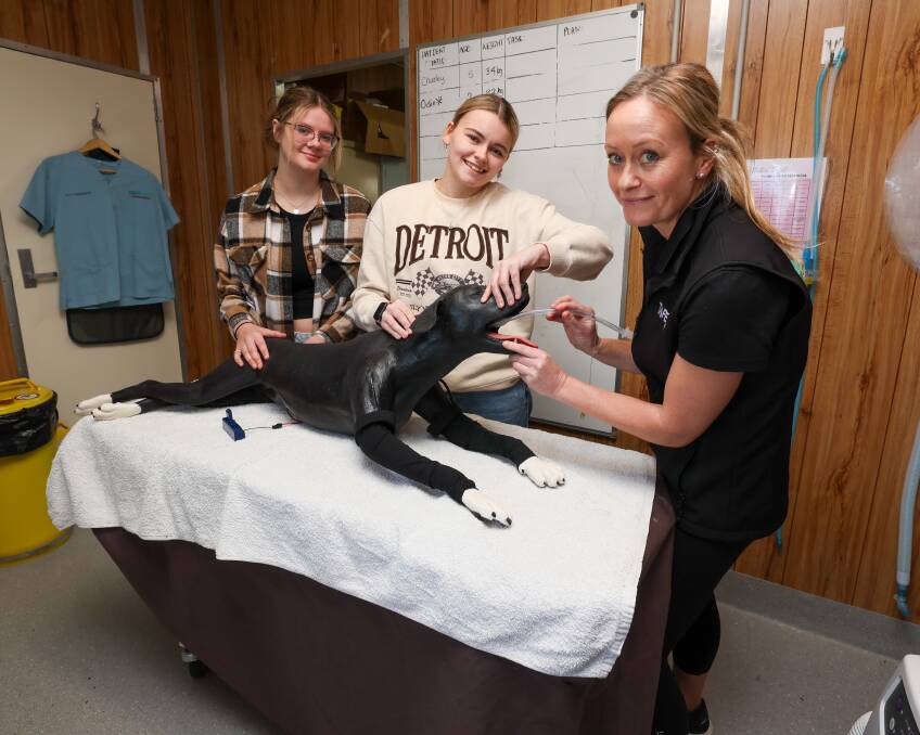 TAFE NSW Primary Industries Centre vet nursing students Abbey Bradley and Hayley Bull learn the hands-on skills of the job working on Sheila the canine mannequin with their teacher Brooke Peters. Picture by Les Smith
