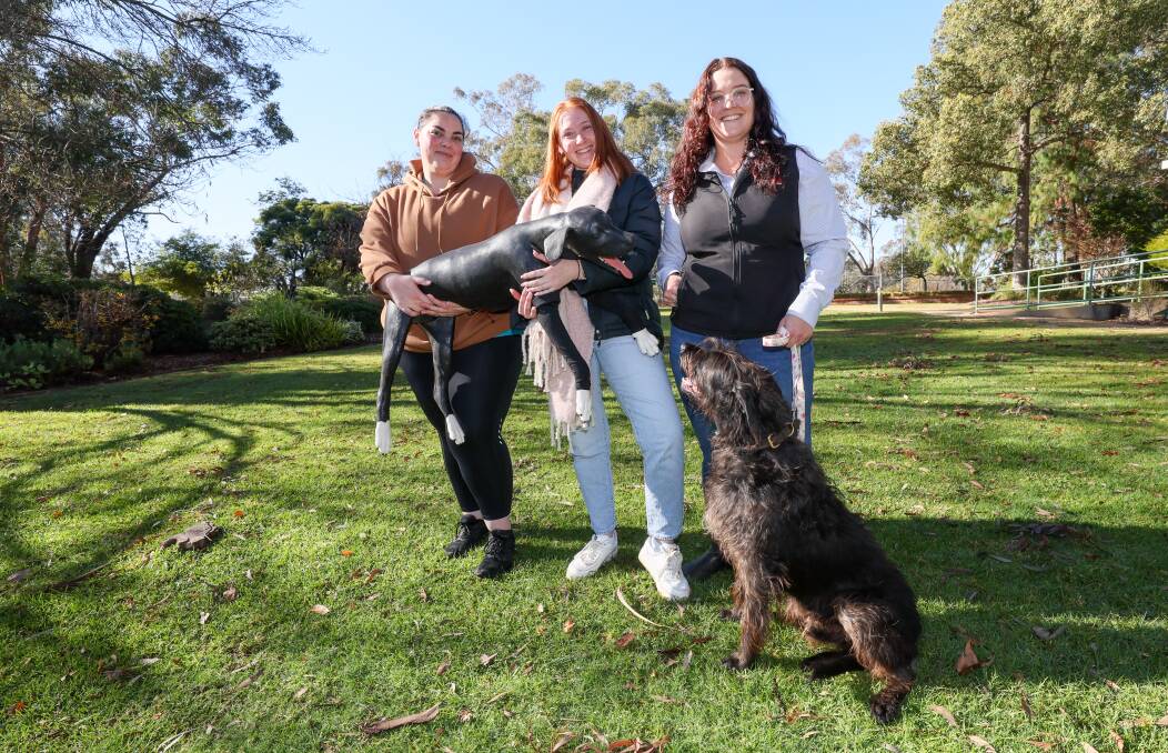 TAFE NSW Primary Industries Centre students studying a Certificate IV in Animal Studies Samantha Lyon and Isabella Harrison holding Sheila the canine mannequin, and teacher Tamara Percival with her real dog, Odin. Picture by Les Smith