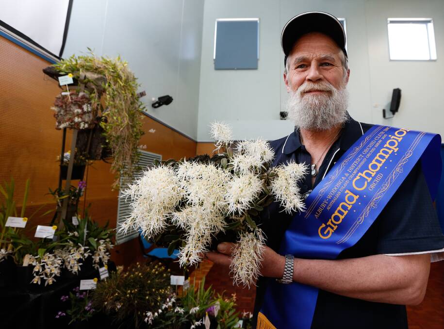 TONGUE IN FLOWER: Grand champion orchid grower Chris Godde at the Albury-Wodonga orchid show with his winning 'tongue orchid'. Picture: MARK JESSER 