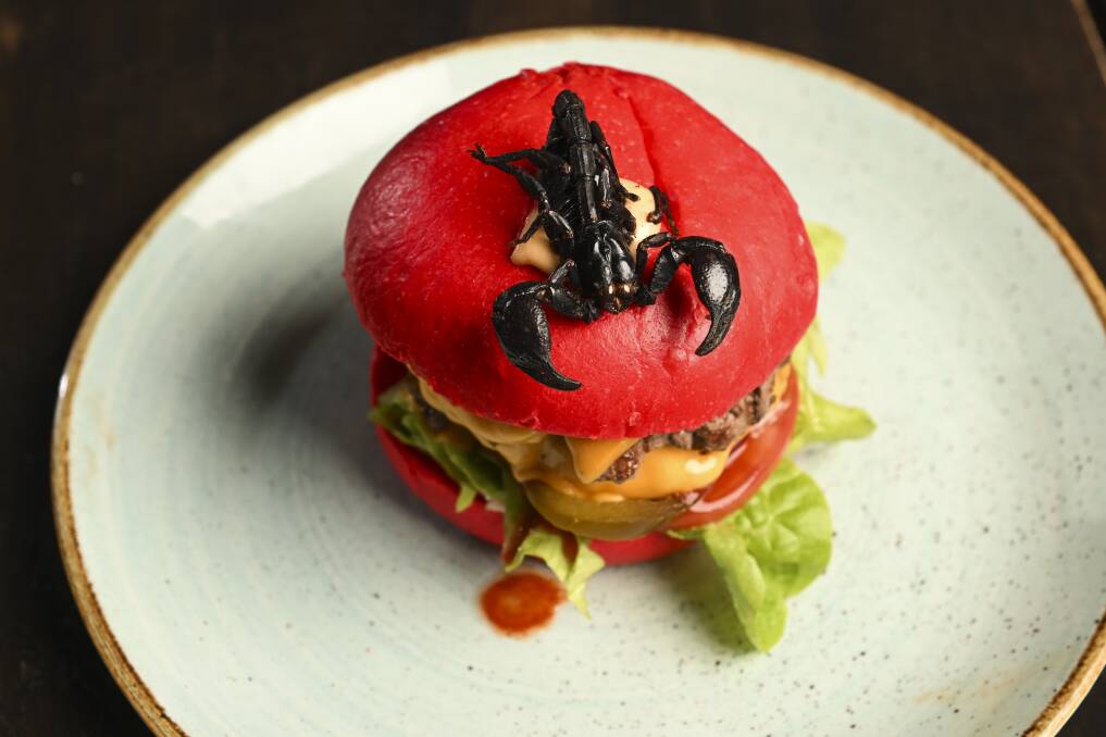The burger is made with a red bun, two smashed beef patties, Moruga scorpion chilli puree, Scorpion Death Wish sauce, jalapenos, cheese, red onion, lettuce, tomato and an Asian forest scorpion to boot. Picture by Mark Jesser