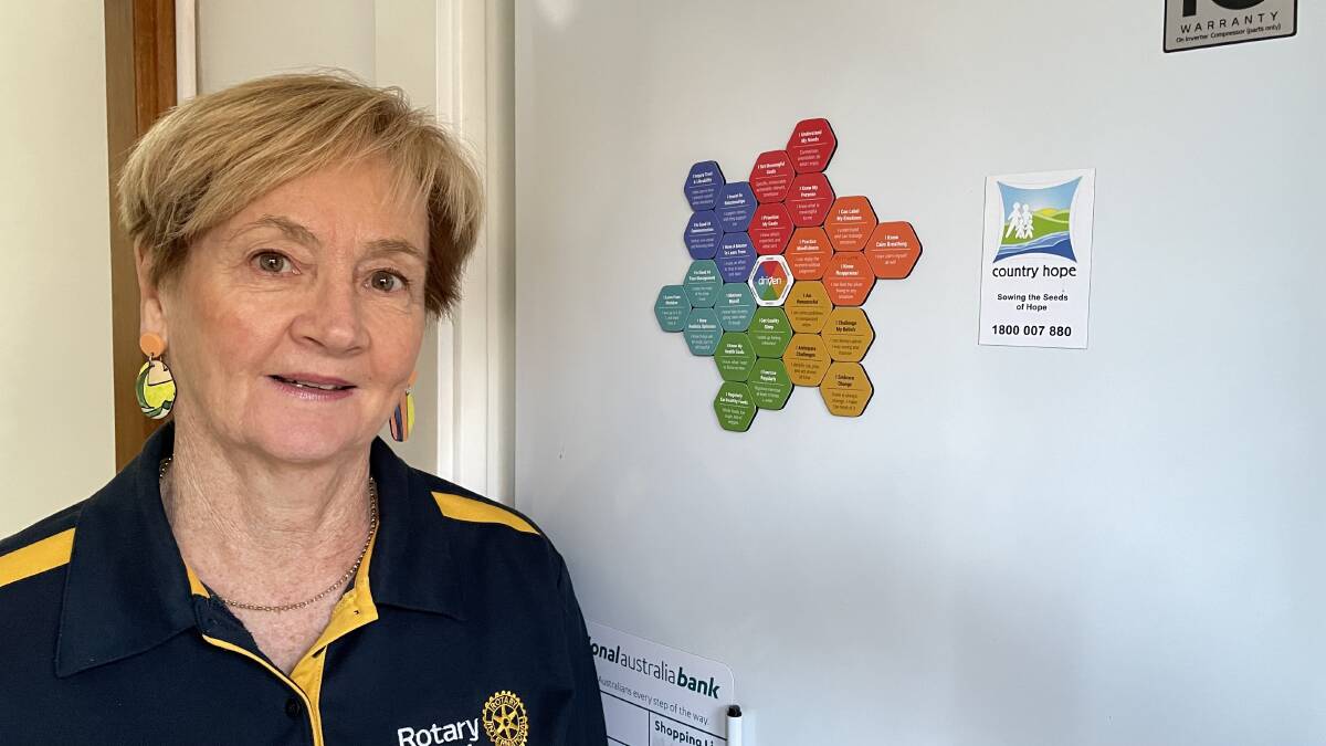 Rotary Club of Albury North past president Anne Hayward says the club is committed to supporting mental health initiatives on the Border. Picture supplied
