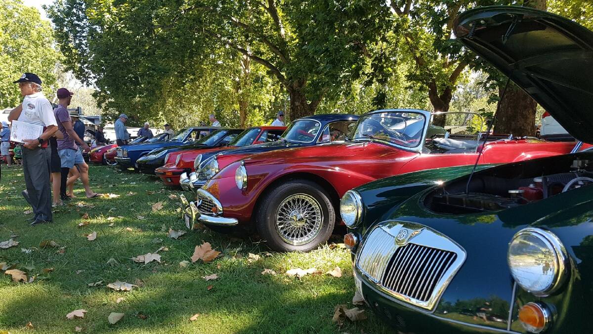 The Riverina Sports Car Association is celebrating 41 years of the preservation and the promotion of both modern and historic sports and classic cars in Albury. Picture supplied
