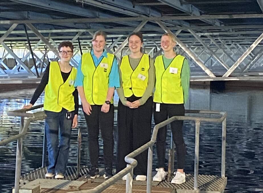 Catholic College Wodonga students Stella Salter, Jessica Arnold, Morgan Ballintine and Zoe Stamp join the GHD Wodonga STEM work experience program. Picture supplied