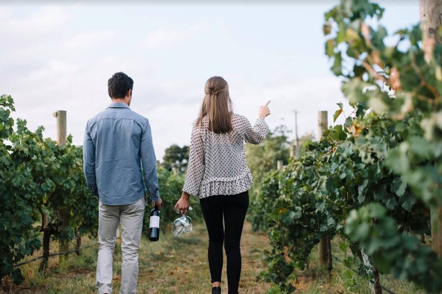 Today 15 wineries from Rutherglen and Wahgunyah participate in Roam Rutherglen - Winery Walkabout, offering new styles of muscat, gin, Fianos and aperitifs.