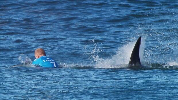 The moment a huge shark launches at Australian surfer Mick Fanning, who escaped without injury after he "punched him in the back". Photo: World Surf League