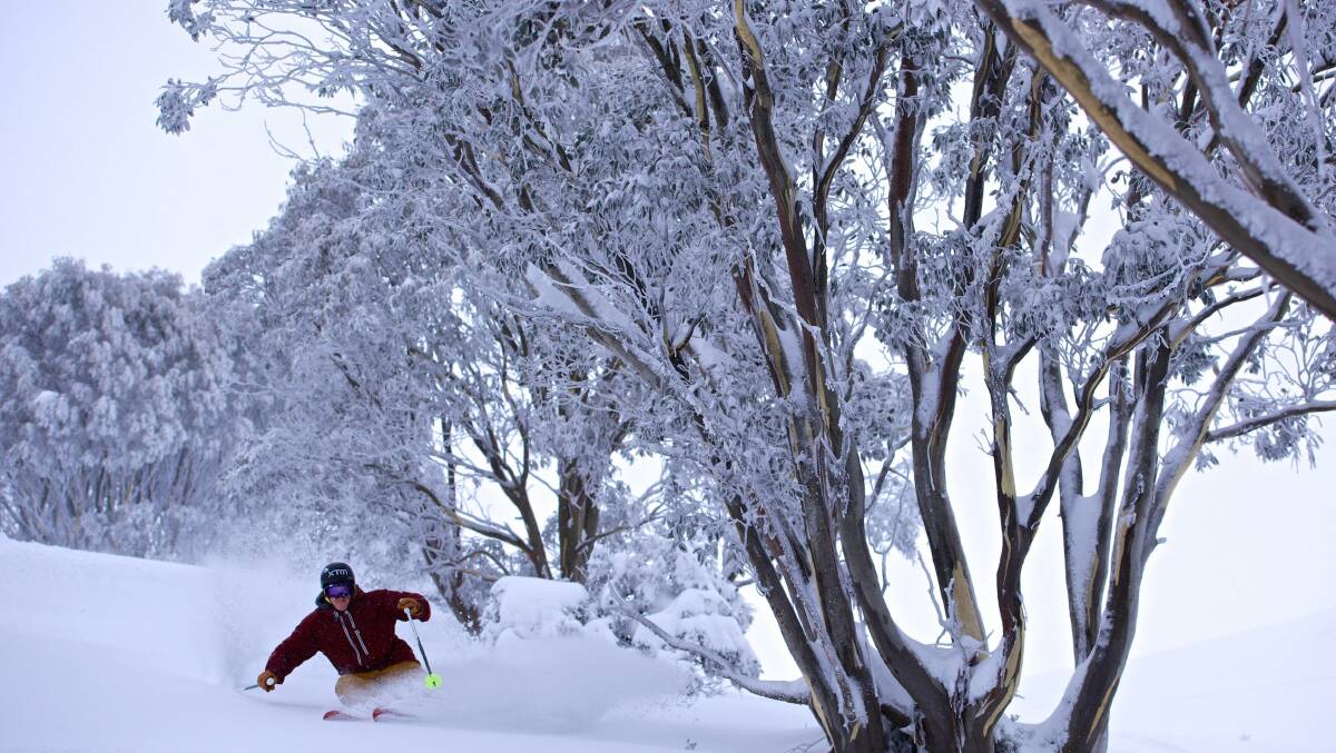 LET IT SNOW: Falls Creek is expecting more snow down to 1400m on Wednesday. 