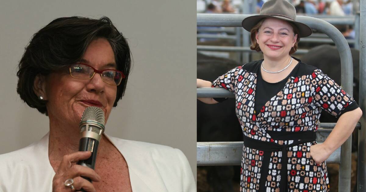 Indi Election 2016 Sophie Mirabella V Cathy Mcgowan Round Two The Border Mail Wodonga Vic 1352