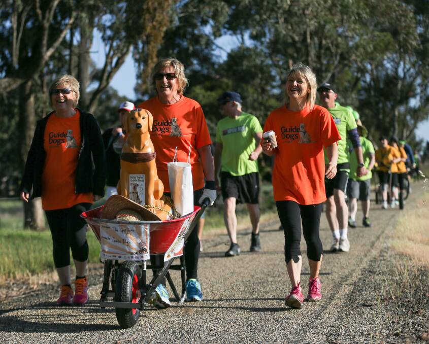 IN FRONT BY A NOSE: The ladies from the Guide Dogs team had their cause front and centre in their wheelbarrow along the Murray to Mountains Rail Trail. Pictures: JAMES WILTSHIRE