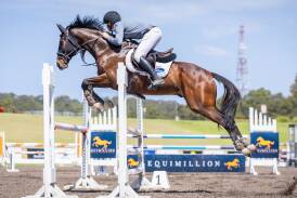 Retired racehorse Jest Benny ridden by Cade Hunter at Equimillion 2023. Picture Simon Scully Photography