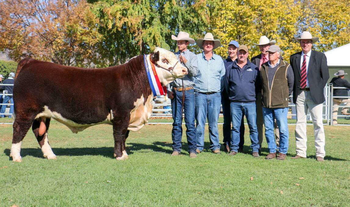 The $46,000 grand champion Mawarra Whiteout T290 (S), held by Logan Sykes, Mawarra Genetics, with vendor Peter Sykes, buyers Craig Brewin and Mick Petersen, Yarram Park Herefords, Ross Milne or Elders, Antony Baillieu, of Yarram Park and Paul Dooley, auctioneer. Picture supplied