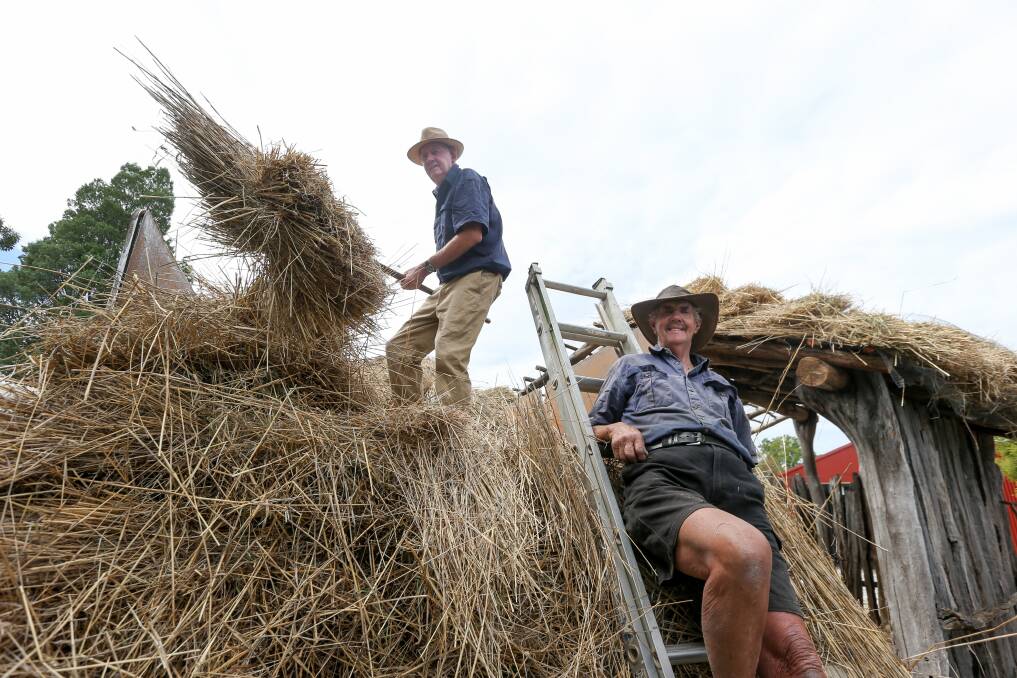 LABOUR OF LOVE: Col Cunningham, 77, from Walla, and Kerry Pietsch, 75, from Pleasant Hill thatching the roof of the old hay shed at the Jindera Pioneer Museum. Picture: TARA TREWHELLA