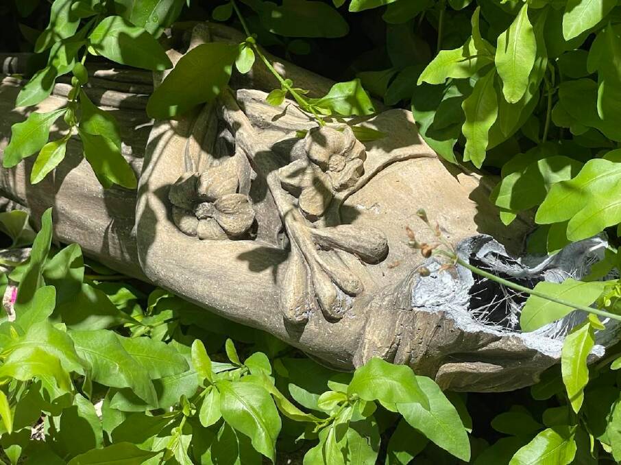 The body of the angel lies in foliage outside the rectory at St Matthew's Albury.