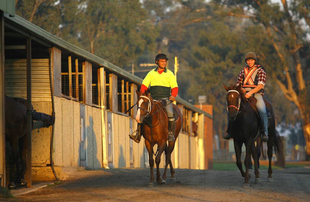 Stable workers undertaking early morning training in 2010 when the Racecourse Road property was part of Cavanough Racing. File picture