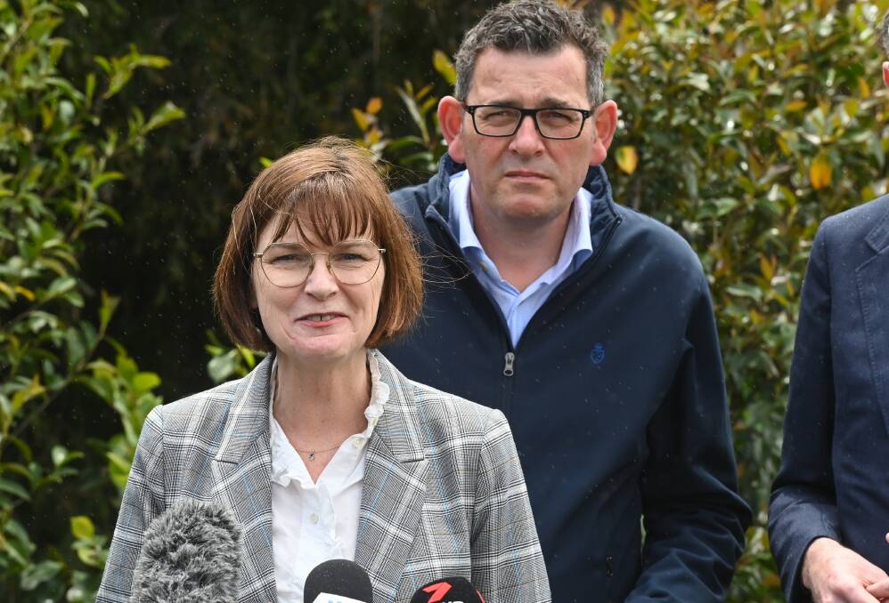 Victoria's Health Minister Mary-Anne Thomas and Premier Daniel Andrews are facing a backlash from Wodonga Council over their support for an Albury hospital upgrade. 