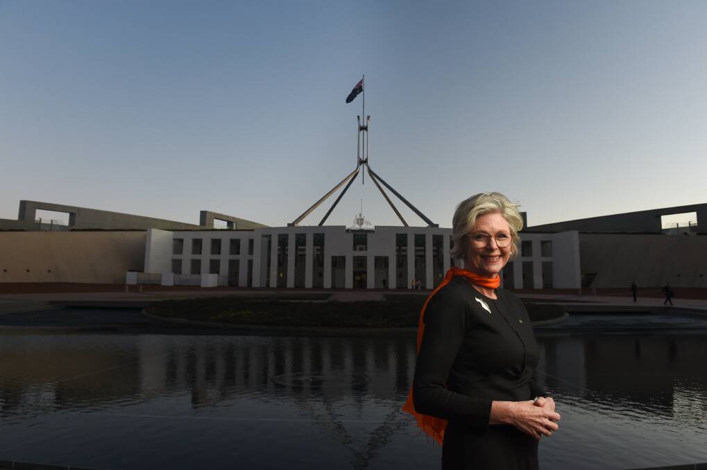 Helen Haines says it is wrong to say the Indigenous Voice to parliament is a Canberra initiative, pointing to it having evolved from the Uluru Statement from the Heart in 2017.