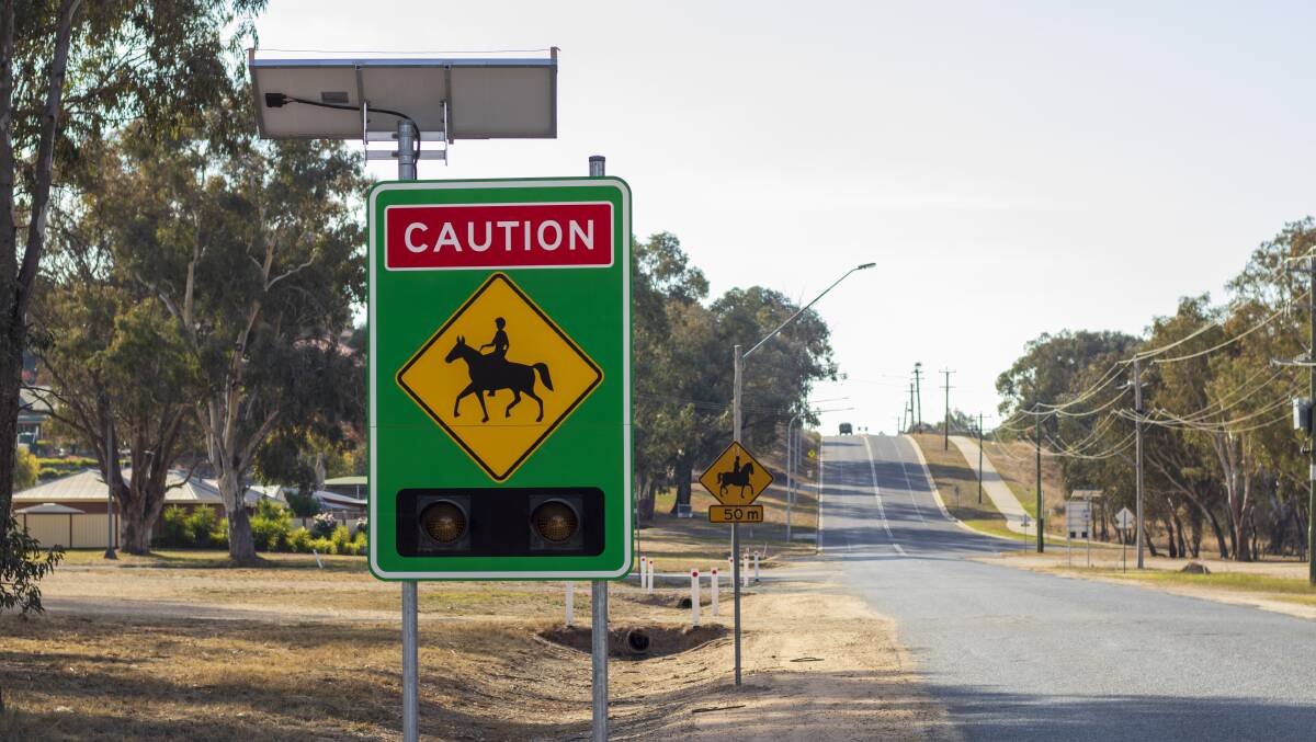Signage along Racecourse Road in Albury that is designed to protect thoroughbreds moving between stables and the nearby track. Picture by Layton Holley