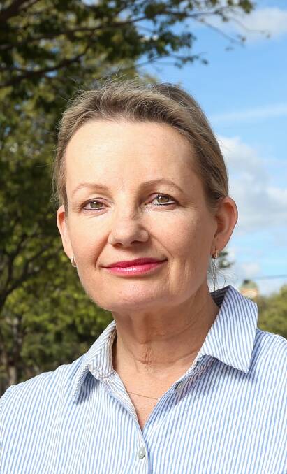 Sussan Ley has flagged government funding for a pipe factory.