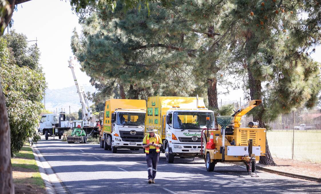 Trucks standby to undertake mulching of limbs before the remains are taken away from the site. Picture by James Wiltshire