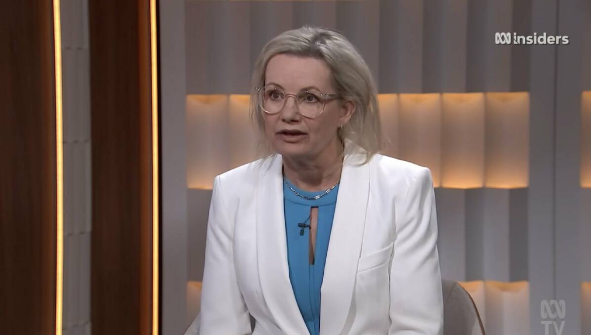 Sussan Ley as she appeared on ABC television's Insiders program on July 23, 2023.