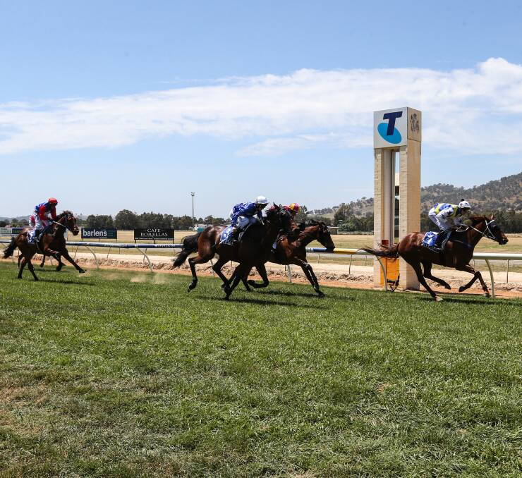 FOR A MATE: Written in Red takes out race No.1 at Wodonga on Monday, with the win dedicated to Scott Jackson. Picture: JAMES WILTSHIRE 
