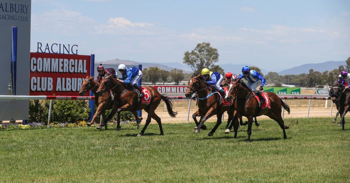 WENT AHEAD: The seven-race card at Albury started early due to the stifling heat on Saturday. The first race was at 11.10am. Picture: JAMES WILTSHIRE